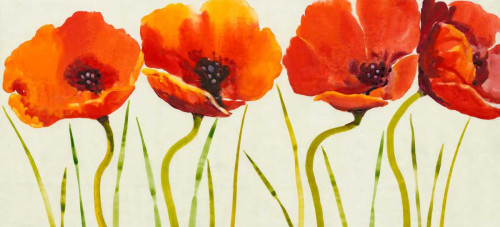 Row of Tulips II Poster Print - Tim OToole