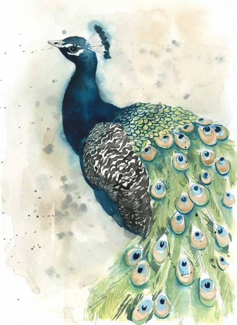 Watercolor Peacock Portrait II Poster Print - Grace Popp