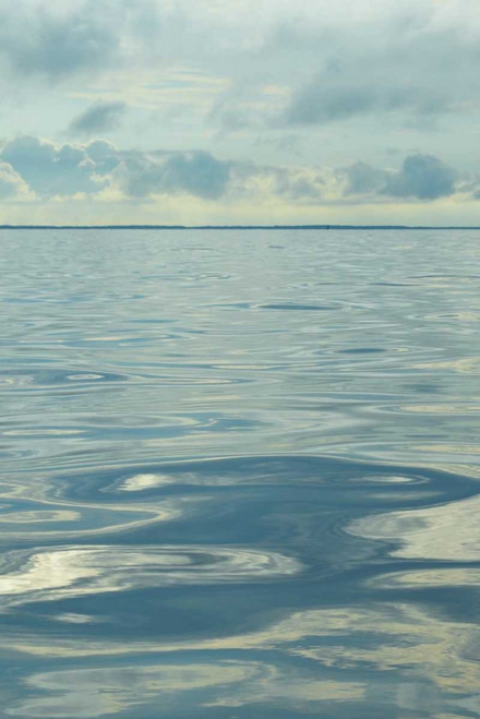 Water I Poster Print - Sharon Chandler