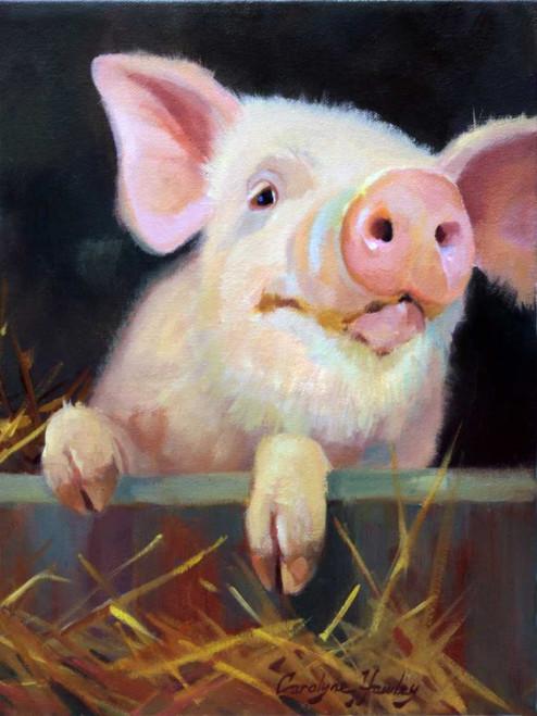 Farm Club II Poster Print - Carolyne Hawley