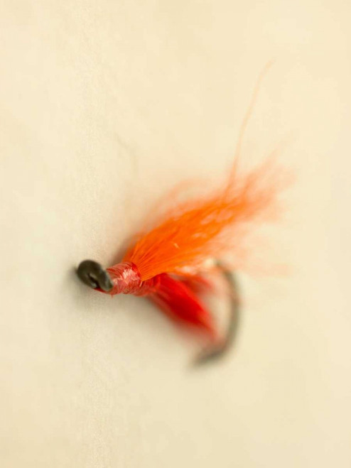 Macro Lure II Poster Print - Judy Stalus