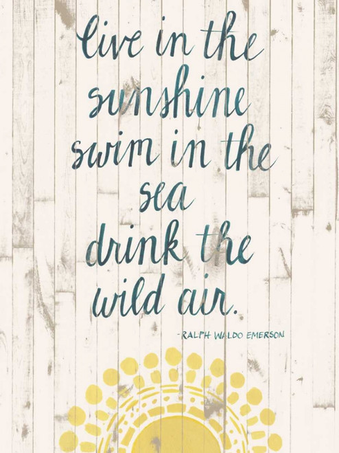 Sun Quote IV Poster Print - Grace Popp