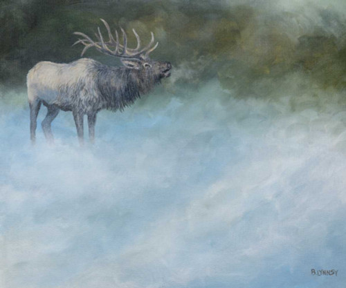 Elk Journey II Poster Print - B. Lynnsy