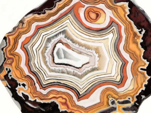 Agate Studies IV Poster Print - Naomi McCavitt