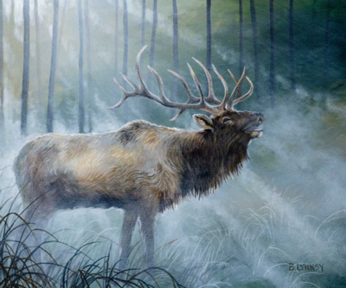 Elk Journey III Poster Print - B. Lynnsy