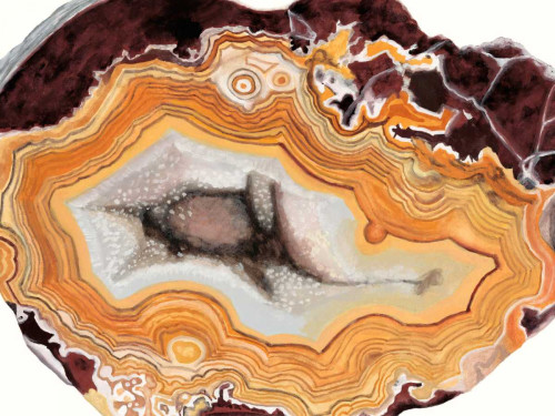 Agate Studies III Poster Print - Naomi McCavitt