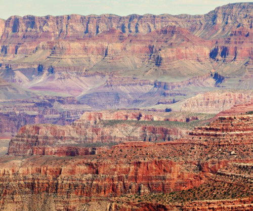 Grand Canyon 2 Poster Print - Sylvia Coomes