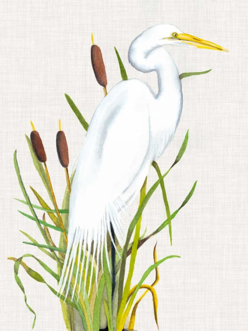 Waterbirds and Cattails III Poster Print - Naomi McCavitt