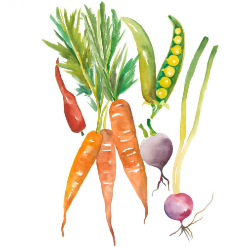 Harvest Medley IV Poster Print - Chariklia Zarris