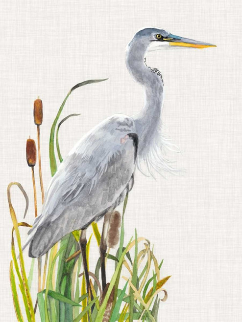 Waterbirds and Cattails I Poster Print - Naomi McCavitt