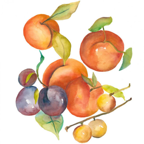 Harvest Medley I Poster Print - Chariklia Zarris