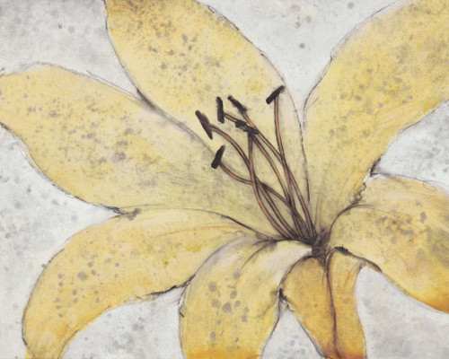 Transparency Flower II Poster Print - Tim OToole