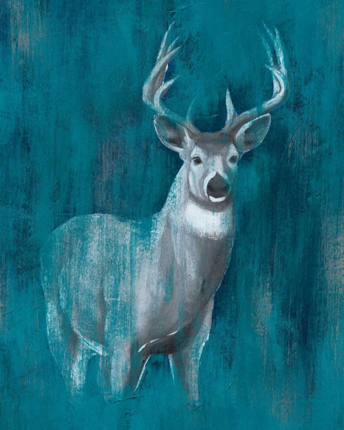 Contemporary White-Tail II Poster Print - Grace Popp