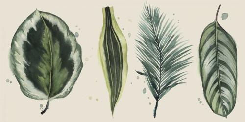 Palm Line-Up I Poster Print - Grace Popp