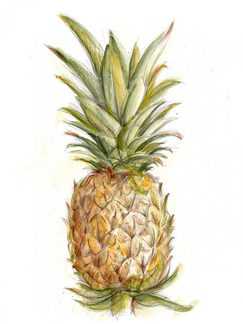 Pineapple Sketch II Poster Print - Ethan Harper