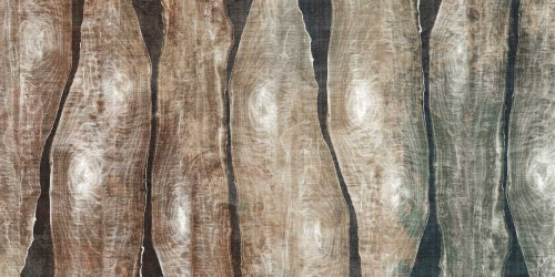 Live Edge I Poster Print - John Butler