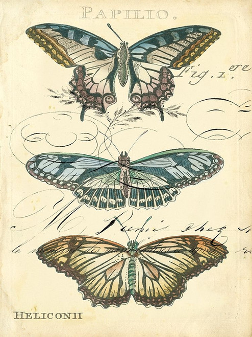 Custom Butterfly Ephemera I