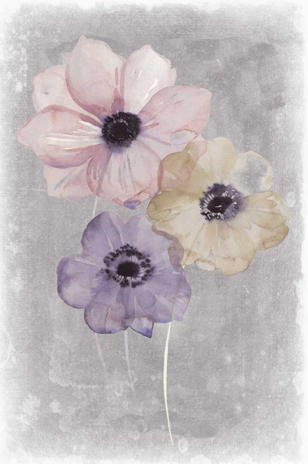 Floral Waltz II Poster Print - Grace Popp