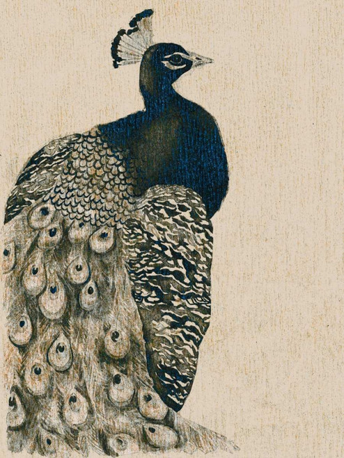 Textured Peacock I Poster Print - Grace Popp