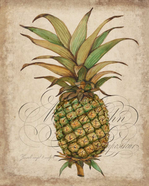 Pineapple Study I Poster Print - Tim OToole