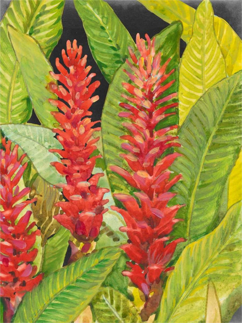 Red Tropical Flowers II Poster Print - Tim OToole