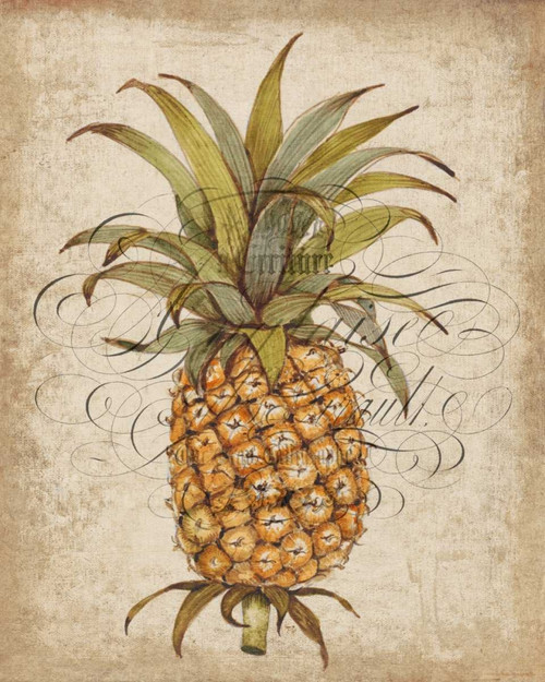 Pineapple Study II Poster Print - Tim OToole