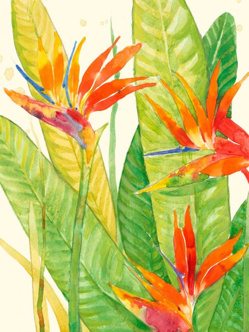 Watercolor Tropical Flowers III Poster Print - Tim OToole