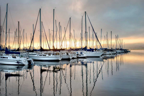 Gold and Blue Poster Print - Danny Head