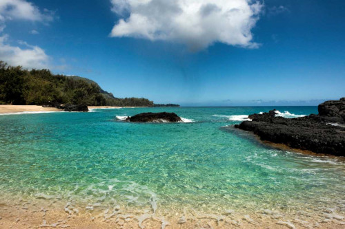 Paradise Poster Print - Danny Head