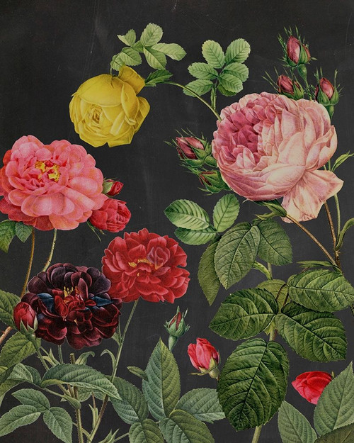 Redoutes Bouquet II Poster Print - Pierre Redoute