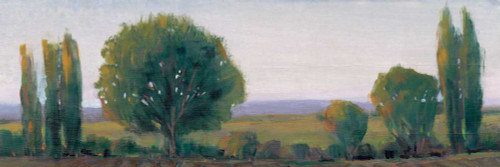 Panoramic Treeline I Poster Print - Tim OToole