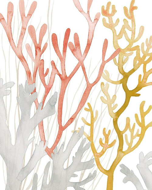 Desert Coral I Poster Print - Grace Popp
