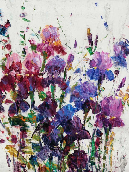 Iris Blooming I Poster Print - Tim OToole
