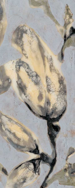 Flower Bud Triptych III Poster Print - Jennifer Goldberger