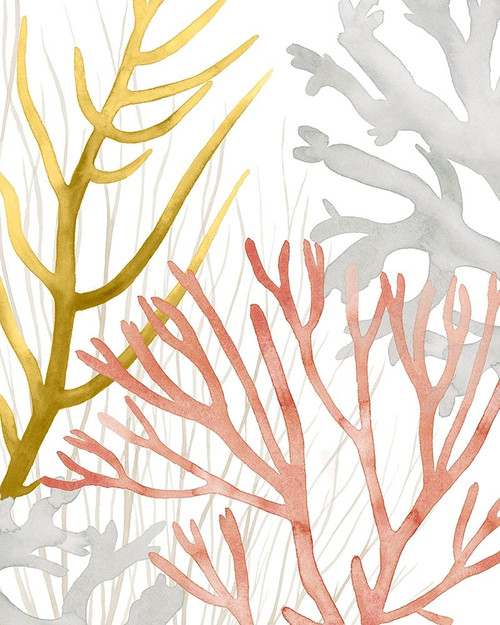 Desert Coral II Poster Print - Grace Popp