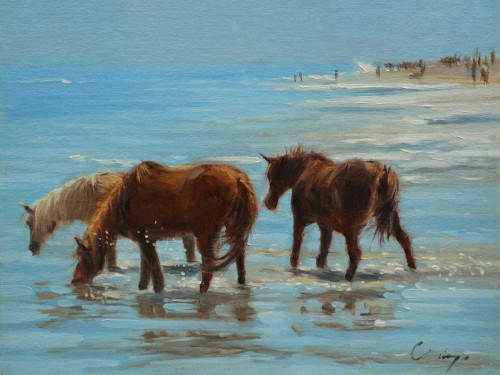 Chincoteague Ponies Poster Print - Chuck Larivey