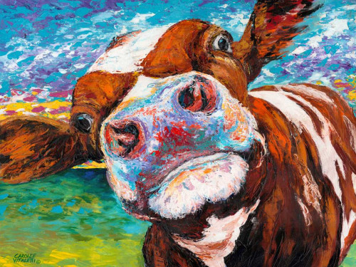 Curious Cow I Poster Print - Carolee Vitaletti