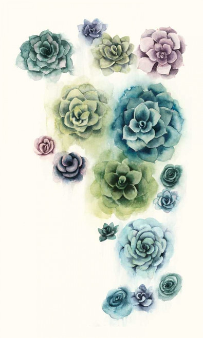 Succulent Cluster I Poster Print - Grace Popp