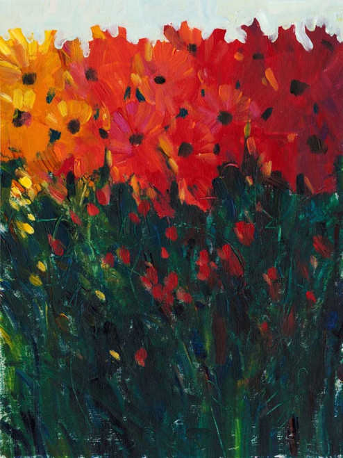 Color Spectrum Flowers I Poster Print - Tim OToole
