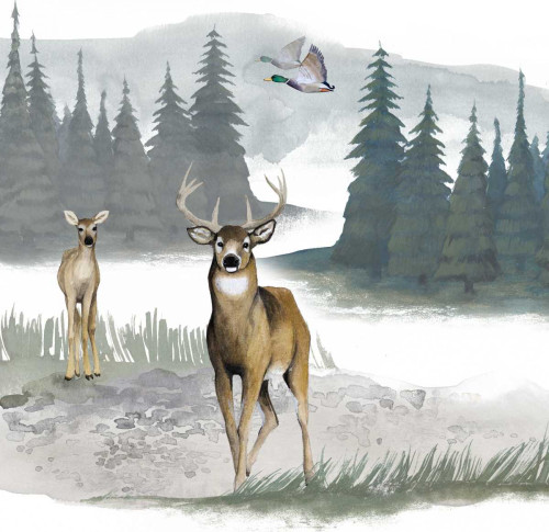 Lodge Landscape II Poster Print - Grace Popp