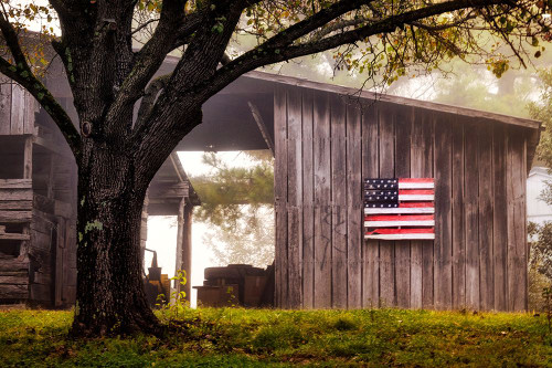 Americana Dock Cabin Poster Print - Andy Amos