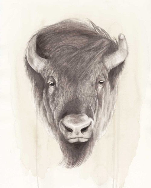 American Wilderness II Poster Print - Grace Popp