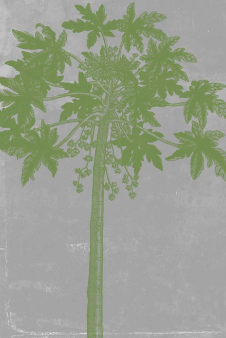 Chromatic Palms IX Poster Print - Jennifer Goldberger