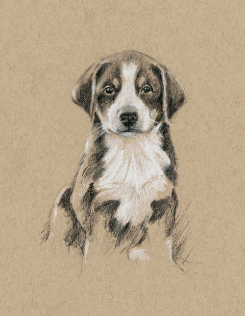 Breed Sketches II Poster Print - Ethan Harper