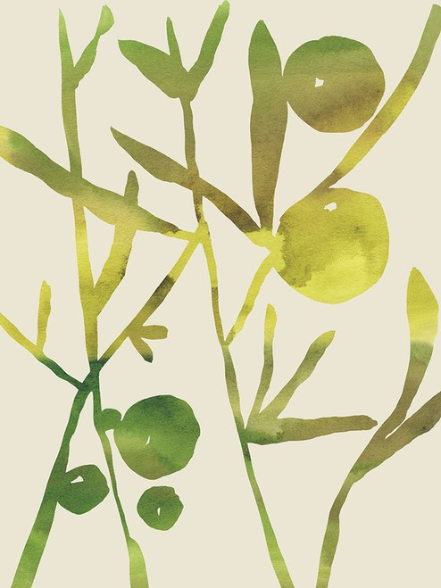 Spring Sprig III Poster Print - Chariklia Zarris