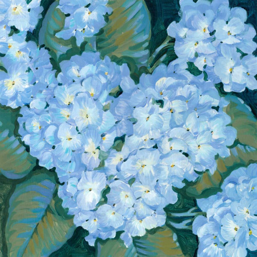 Blue Hydrangeas II Poster Print - Tim OToole