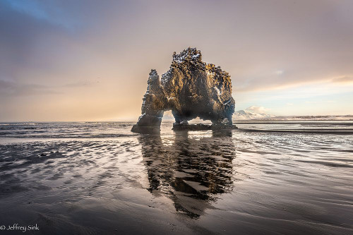 Dinosaur Rock Poster Print - Jeffrey C. Sink