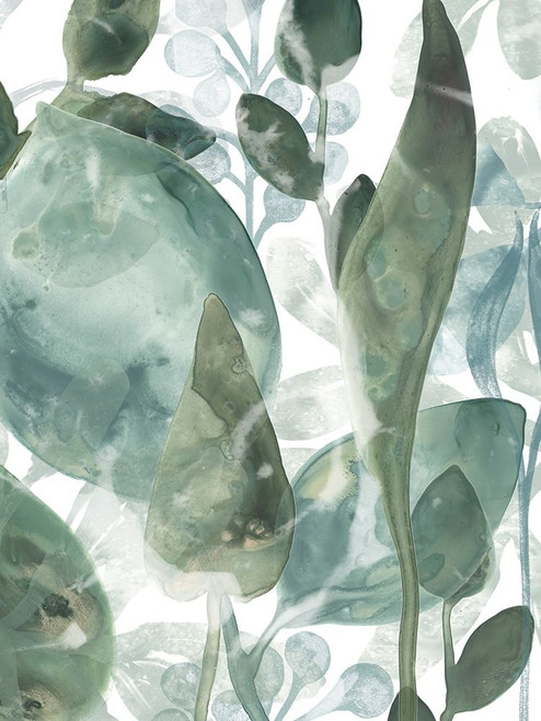 Aquatic Leaves IV Poster Print - June Erica Vess