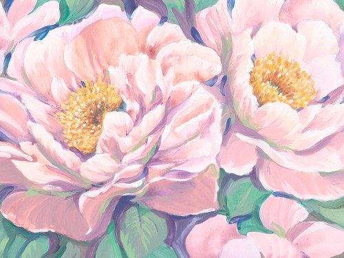 Peonies in Bloom II Poster Print - Tim OToole