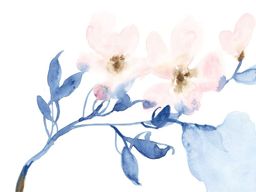 Cherry Blossom Light II Poster Print - Jennifer Goldberger